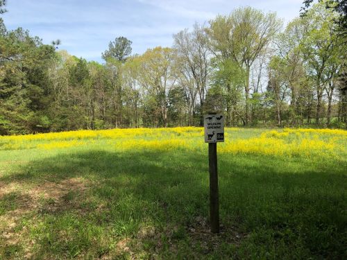 A sign marks a wildlife area surrounded by a field of yellow flowers and green trees under a clear sky.