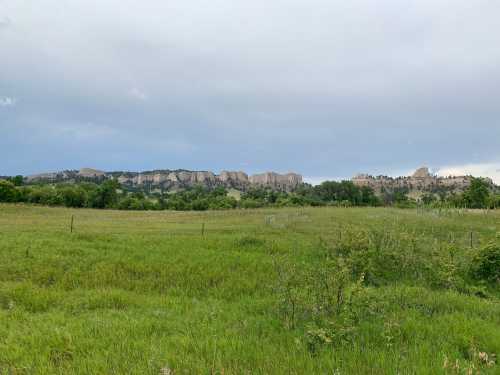 A grassy field with green vegetation in the foreground and rocky cliffs under a cloudy sky in the background.