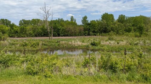 A serene landscape featuring a small pond surrounded by lush greenery and trees under a partly cloudy sky.