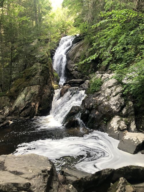 A serene waterfall cascades over rocks into a pool, surrounded by lush green trees and foamy water.