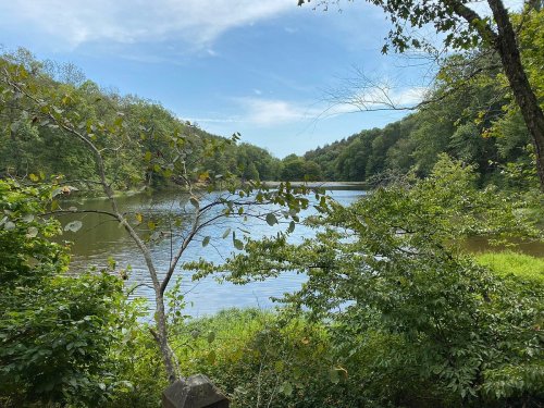 A serene lake surrounded by lush greenery and trees under a clear blue sky.