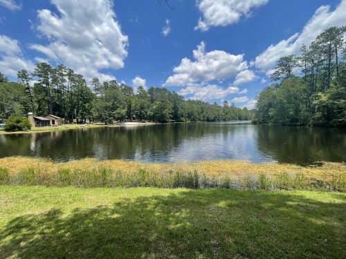A serene lake surrounded by trees under a blue sky with fluffy clouds, featuring a grassy shore and a small building nearby.