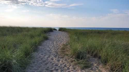 A sandy path leads through tall grass to a calm ocean under a blue sky with scattered clouds.