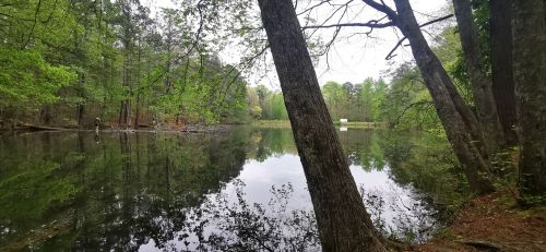 A serene lake surrounded by trees, reflecting the greenery and a person fishing in the distance.