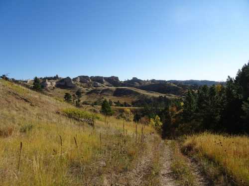 A dirt path leads through golden grasslands towards rocky hills under a clear blue sky.