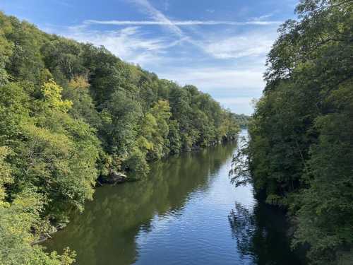 A serene river flows between lush green trees under a clear blue sky with wispy clouds.