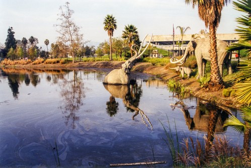 A serene park scene featuring life-sized mammoth sculptures by a pond, surrounded by palm trees and lush greenery.