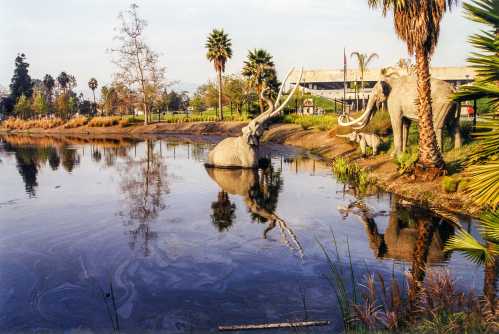 A serene park scene featuring life-sized mammoth sculptures by a pond, surrounded by palm trees and lush greenery.