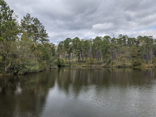 A serene lake surrounded by lush trees under a cloudy sky, reflecting the greenery in the calm water.