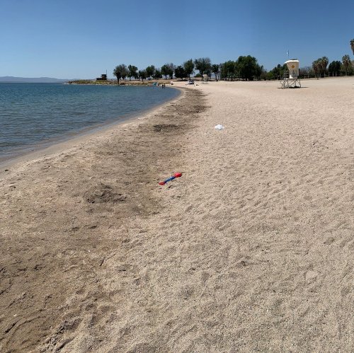 A sandy beach with calm water, scattered trees, and a lifeguard station in the distance under a clear blue sky.