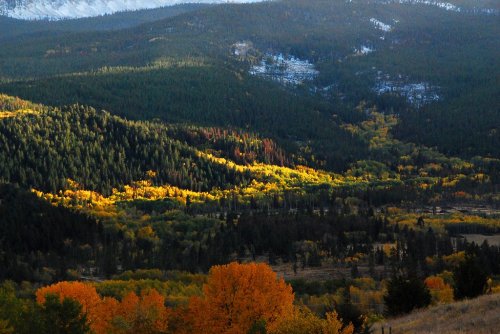 A scenic view of a valley with vibrant autumn foliage, surrounded by evergreen trees and distant snow-capped mountains.