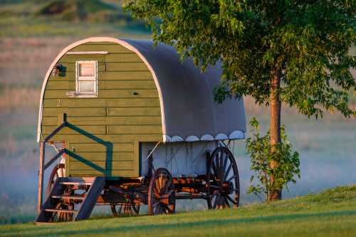 A green vintage wagon with a curved roof, resting on wheels beside a tree in a grassy field.