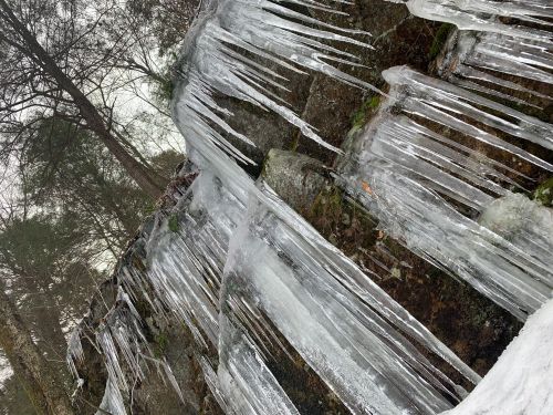 Icicles hanging from a rocky surface in a forest, with trees in the background and a misty atmosphere.
