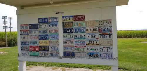 A display board featuring various colorful license plates arranged in a grid, set against a green landscape.