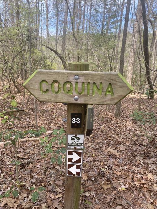 Wooden trail sign pointing to "Coquina," surrounded by trees and fallen leaves.
