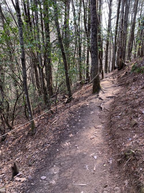 A narrow dirt path winds through a forest, surrounded by trees and underbrush, with a rope guiding the trail.
