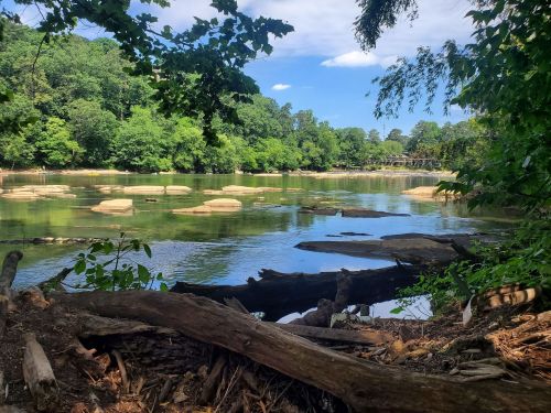 A serene river scene with smooth rocks, lush greenery, and a clear blue sky reflecting on the water's surface.