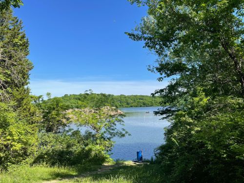 A serene lake view framed by lush greenery and trees under a clear blue sky.