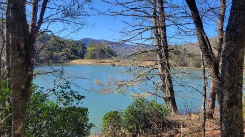 A serene lake surrounded by trees and mountains under a clear blue sky.
