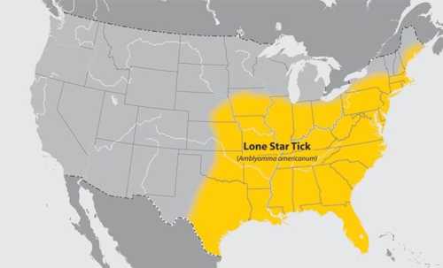 Map highlighting the range of the Lone Star Tick (Amblyomma americanum) across the southeastern United States.