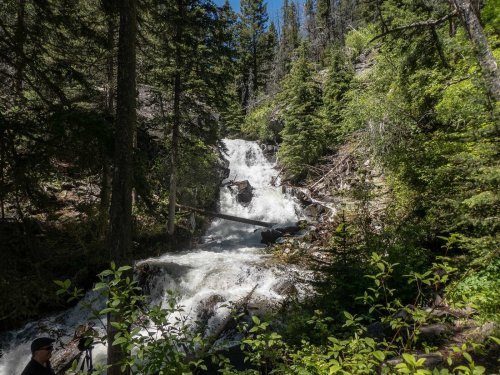 A cascading waterfall surrounded by lush green trees and rocky terrain under a clear blue sky.