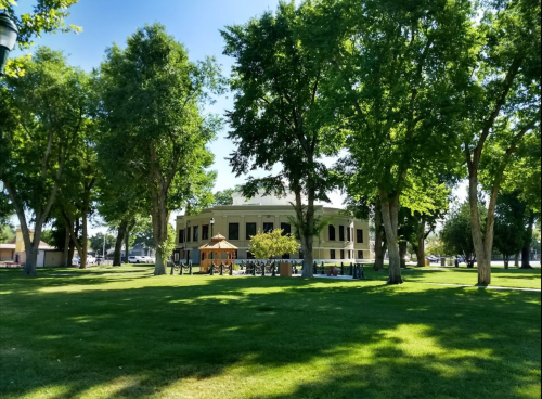 A sunny park scene featuring a large building surrounded by trees and a playground structure on green grass.
