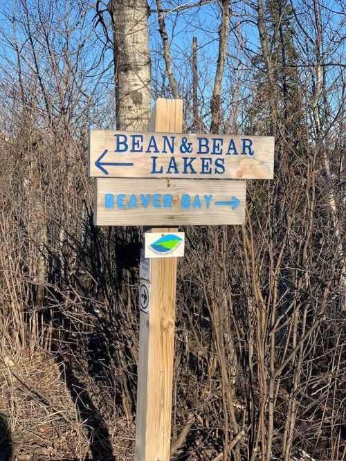 Wooden signpost with arrows pointing to Bean & Bear Lakes and Beaver Bay, surrounded by trees and brush.