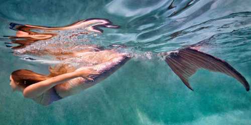 A mermaid swims gracefully underwater, her long hair flowing and shimmering in the water.