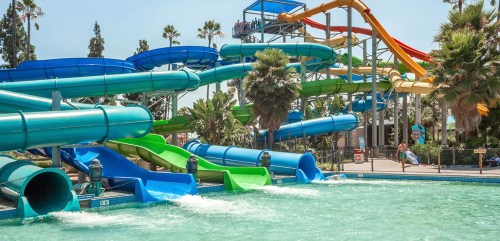 Colorful water slides twist and turn above a pool, surrounded by palm trees and a clear blue sky.
