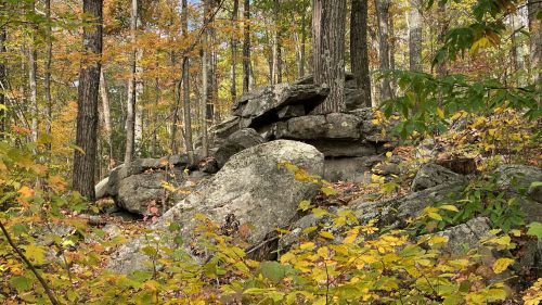 A rocky outcrop surrounded by colorful autumn foliage in a forest setting.