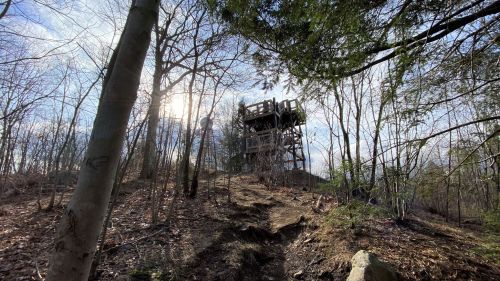 A wooden observation tower stands on a hillside, surrounded by bare trees and sunlight filtering through the branches.