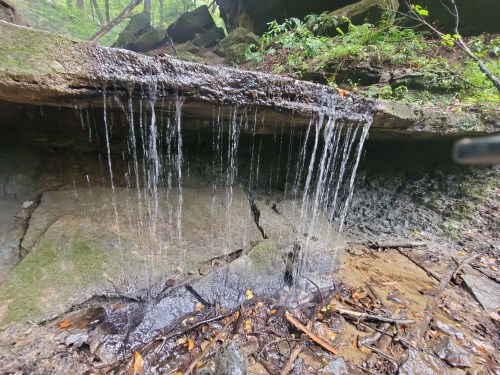 A small waterfall cascades over a rocky ledge, surrounded by lush greenery and wet earth.