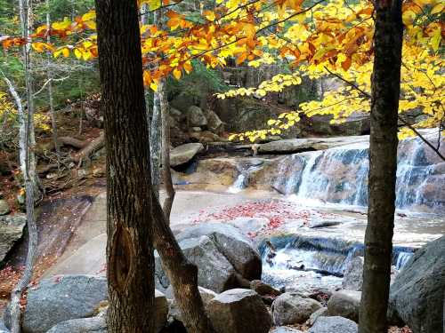 A serene waterfall cascades over rocks, surrounded by autumn foliage and trees with vibrant yellow leaves.