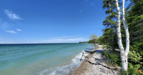 A serene lakeshore with clear blue water, rocky beach, and green trees under a bright blue sky.