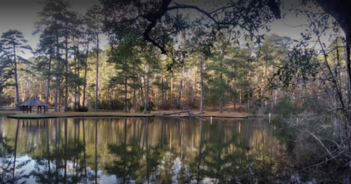 A serene lake surrounded by tall trees, with a gazebo on the shore and reflections on the water's surface.