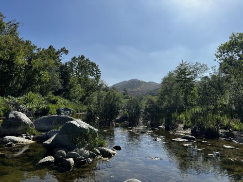 A serene river scene with rocks, lush greenery, and a distant mountain under a clear blue sky.