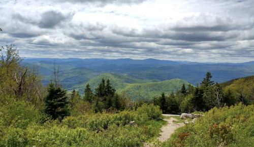 A scenic view of rolling green mountains under a cloudy sky, with a winding path leading through the foreground.