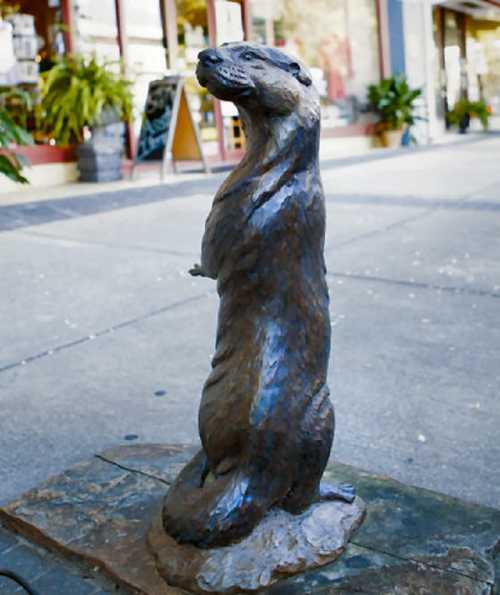 A bronze sculpture of a standing otter on a stone base, set in an outdoor area with shops in the background.