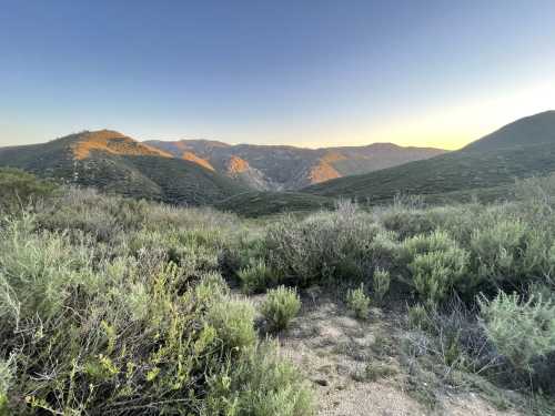 A scenic view of rolling hills and mountains at sunset, with green vegetation in the foreground.