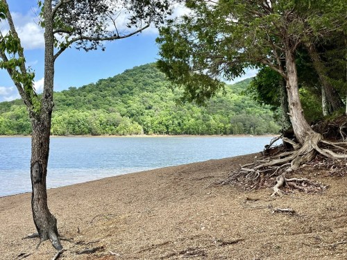 A serene lakeside view with a sandy shore, trees, and a lush green hillside under a partly cloudy sky.