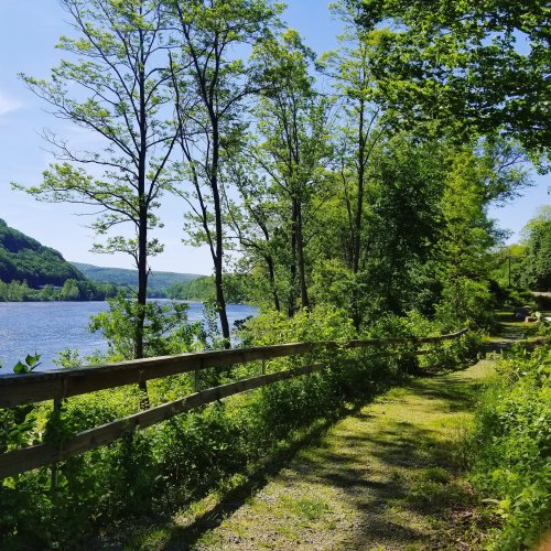 A scenic path lined with trees beside a calm lake, surrounded by lush greenery and distant hills under a clear blue sky.
