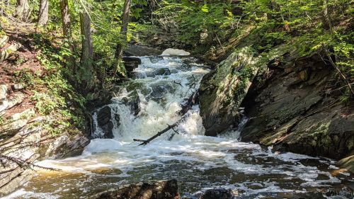 A small waterfall cascades over rocks, surrounded by lush green trees and foliage.