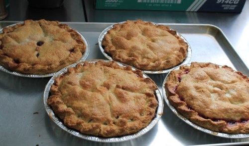 Four freshly baked fruit pies on a metal tray, each with a golden-brown crust and a slightly uneven surface.