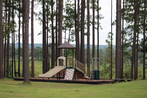 A playground with slides and climbing structures surrounded by tall pine trees in a grassy area.