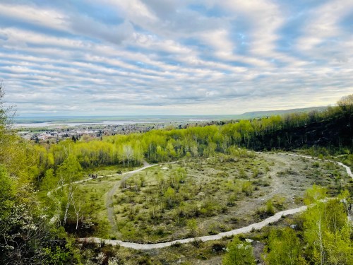 A scenic view of a green landscape with winding paths, under a cloudy sky, overlooking a distant town and water.