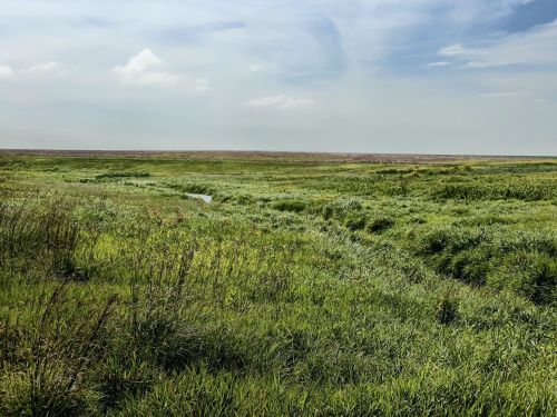 Lush green wetlands under a blue sky, with a winding stream and distant horizon.