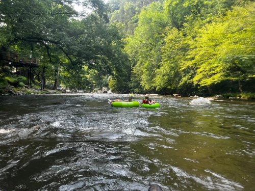 Two people float on green inner tubes down a river, surrounded by lush green trees and a rocky shoreline.