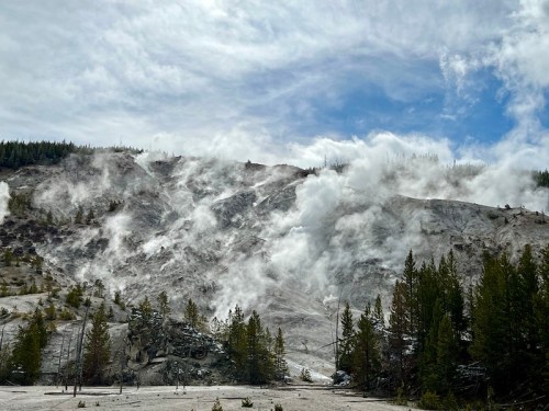 A geothermal landscape with steam rising from the ground, surrounded by trees and a cloudy sky.