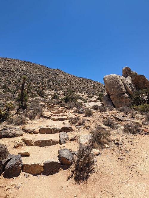 A rocky path leads up a desert hillside, surrounded by sparse vegetation and large boulders under a clear blue sky.