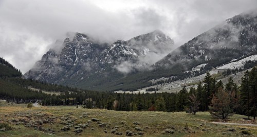 A misty mountain landscape with rugged peaks, dense forests, and a cloudy sky.